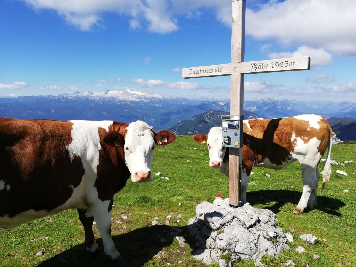 Ferienwohnung Fuchs Bad Mitterndorf Kültér fotó